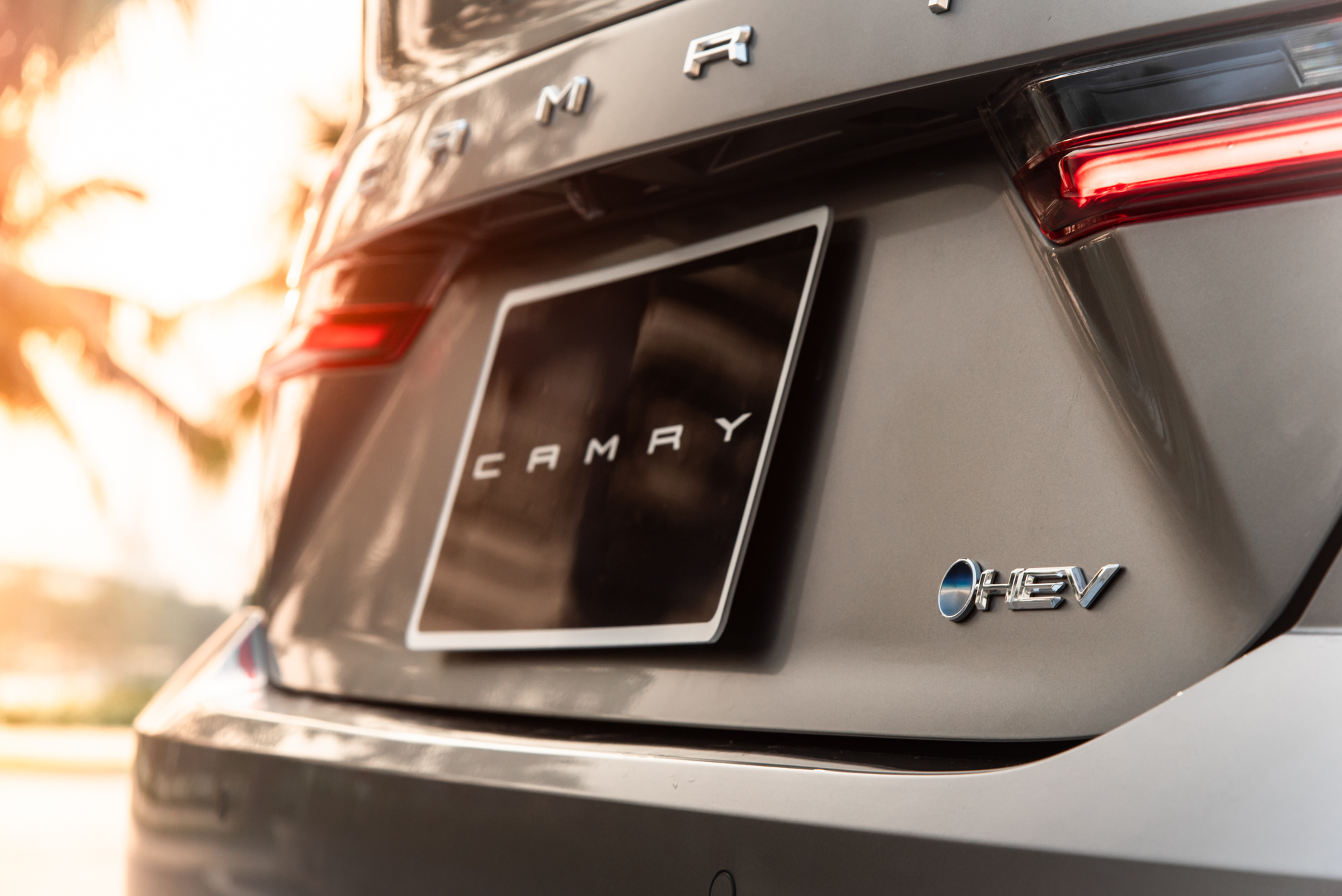 804b27_7c29474d825d4845bf0fccbd7cd27c4amv2-2 ree