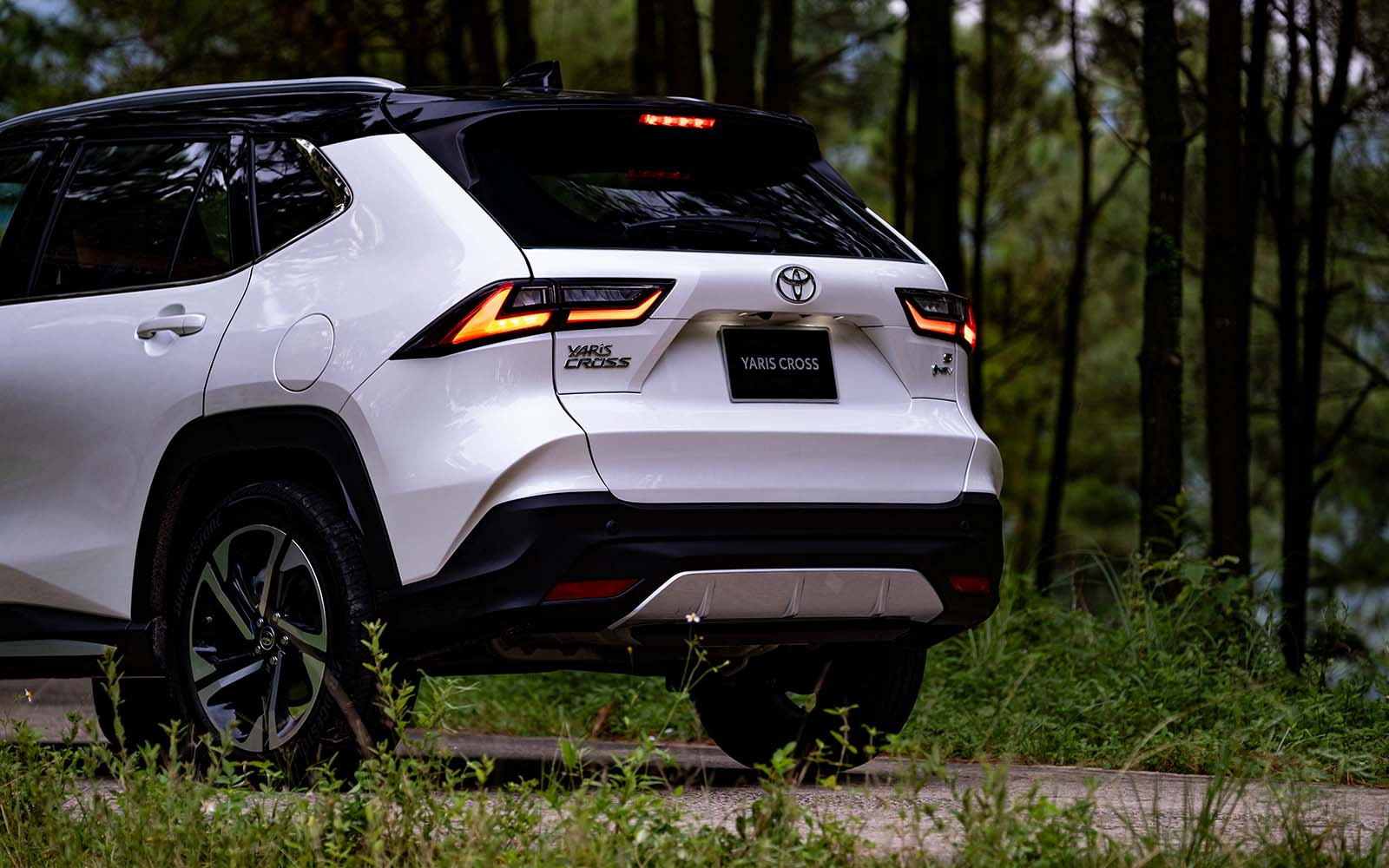 b4dcef_2eeb787a1c764499b49136b0b0f2b85emv2-1 Mặt sau