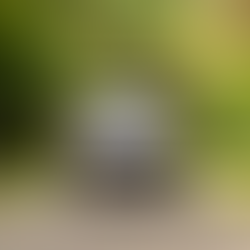 b4dcef_3f8cfd12a0ef443382759c90fa72cda9mv2