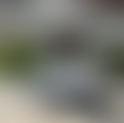 b4dcef_5fb97b7196b949efb93567c5f2ade178mv2-3