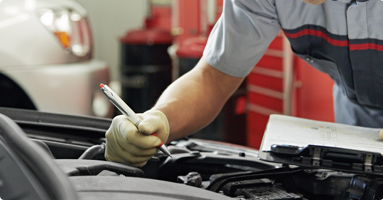 Dịch vụ bảo dưỡng nhanh