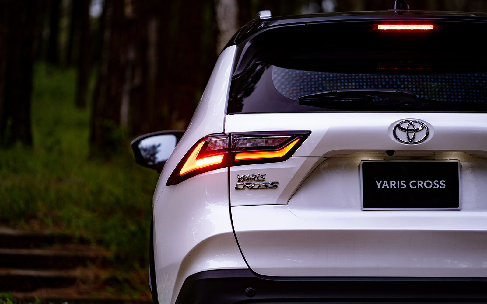 b4dcef_a47055f40bc34bc1b16ea631fa2e2886mv2-1 Đèn hậu