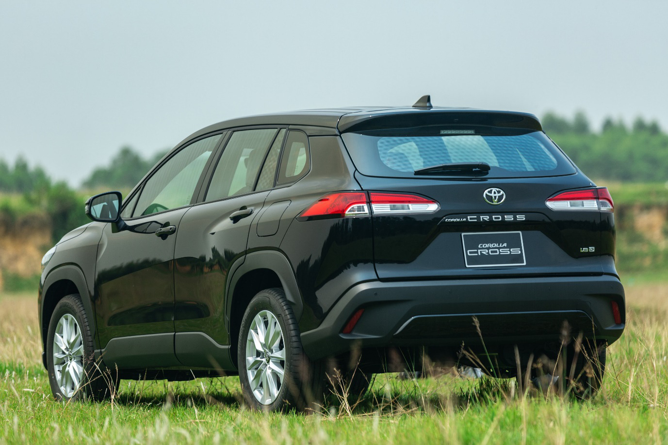 Thiết kế mặt sau xe