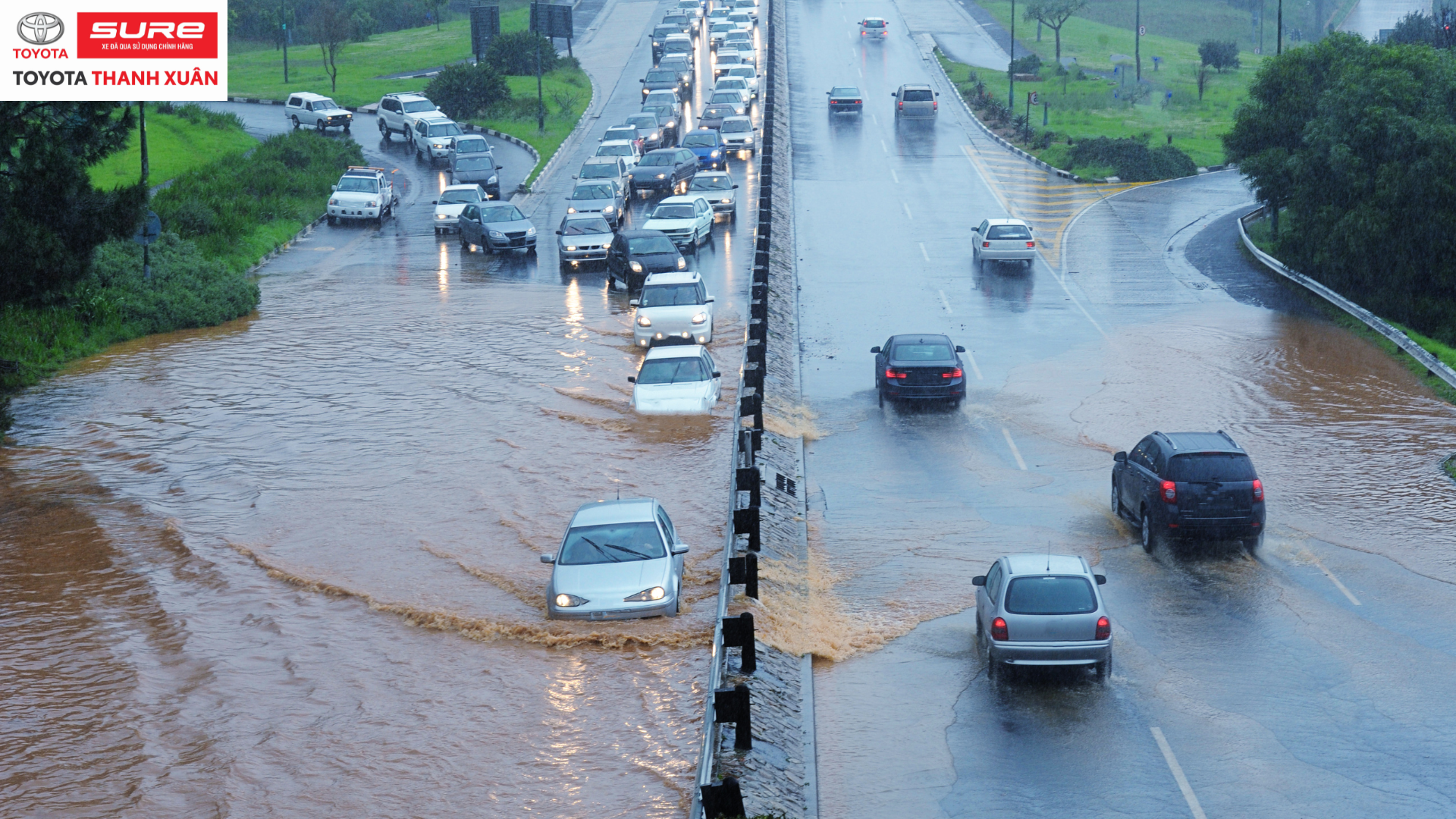 Dòng xe ô tô đang di chuyển qua đoạn đường ngập nước dưới trời mưa. Cảnh vật xung quanh có màu xanh của cỏ cây. Logo Toyota Thanh Xuân