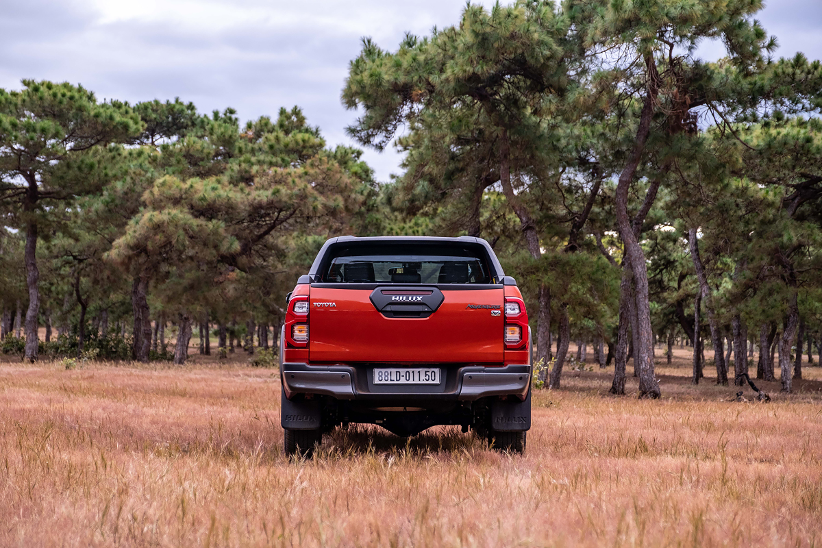 aeb301_cdd08581ed3e4c688320868ba91ba6a1mv2-1 ree