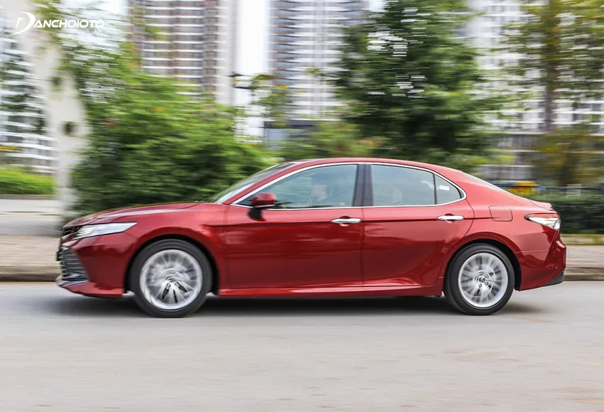 b4dcef_3ed5bd804e6e42769722bcc55eb23878mv2-5 ree