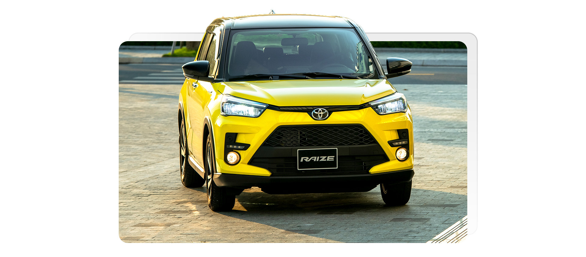 b4dcef_41c356ebef214e6a94c497f137dc5c47mv2-3 ree