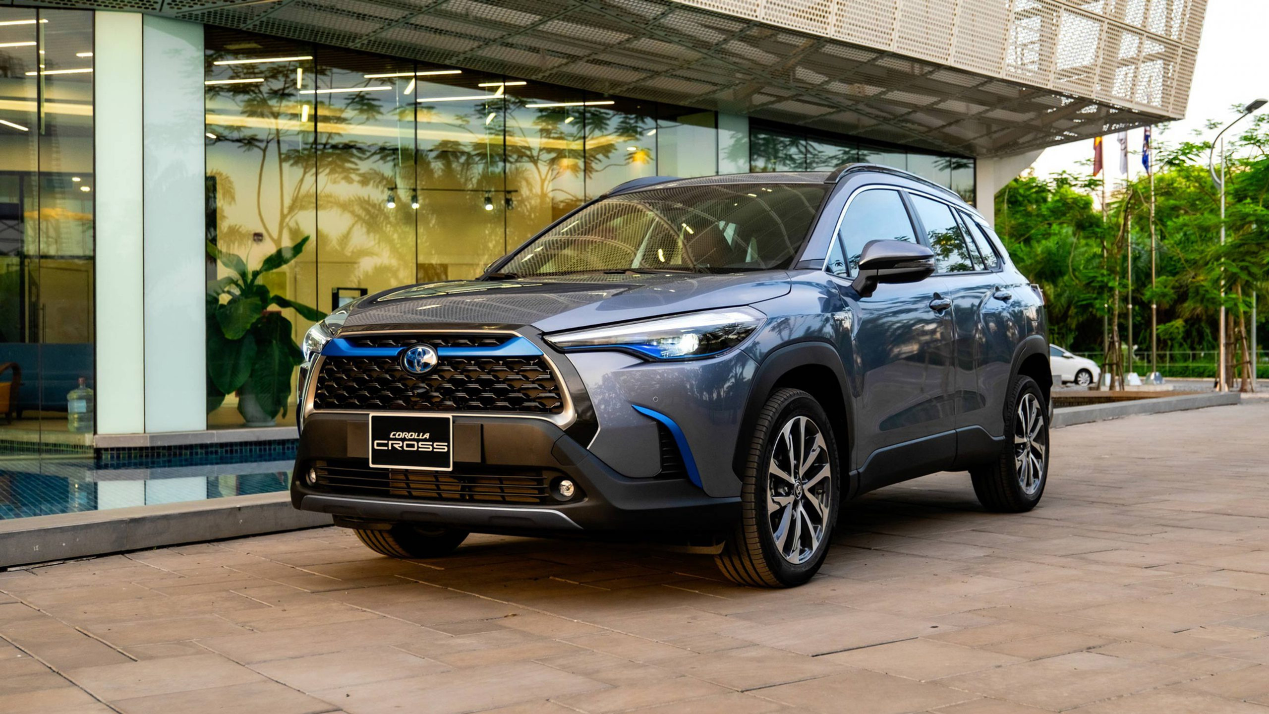 b4dcef_666a117afd3f4075877fc143fea73f92mv2-1 ree