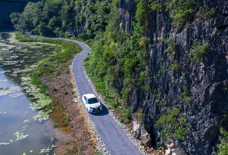 b4dcef_c01d53edc5054b2d99befe122b470b5amv2-1 ree