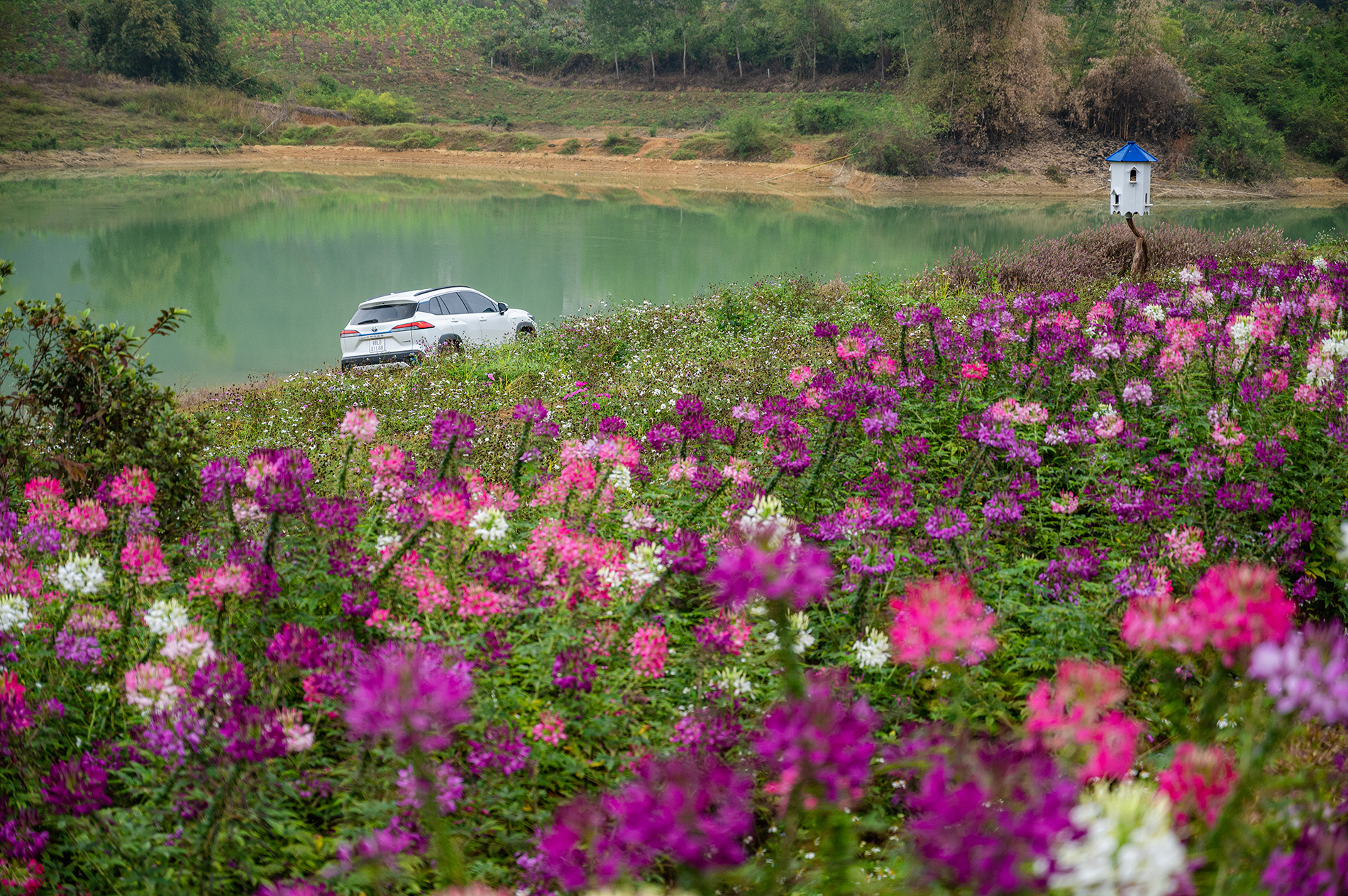 f03d58_8e900f11339340469e002a98fc11b27amv2-1 Corolla-Cross-2023