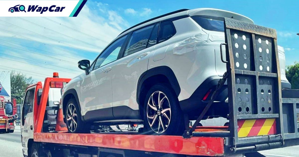 f03d58_d88aa9139fc9455ca7b22abd86fa66a5mv2-2 ree